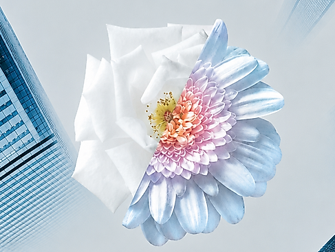 stadtblume_artwernercompany_2