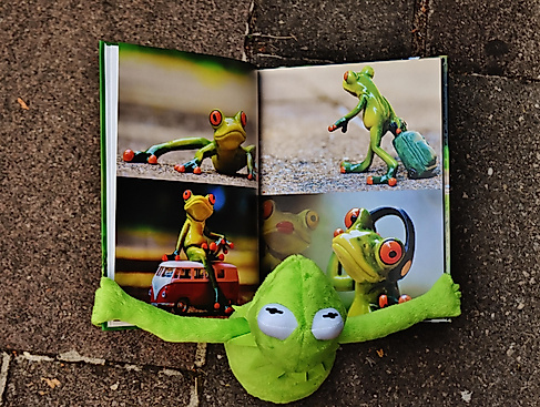 Bilderbuchkino auf Englisch / Picture Book Cinema in English