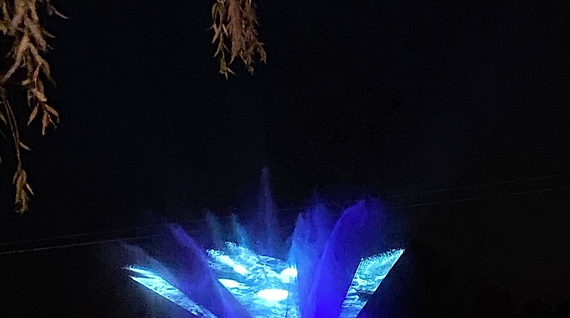 Show 7