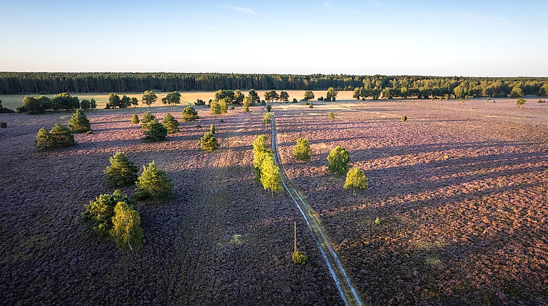 Oberoher Heide