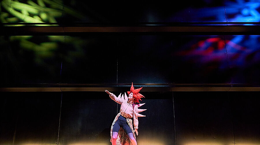 Der Zauberer von Oz
                                - von Ayla Yeginer, nach Lyman Frank Baum