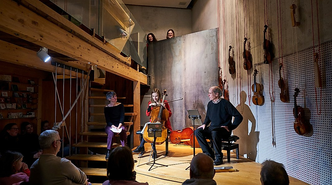 Insight Strings / Workshop Streichinstrumente