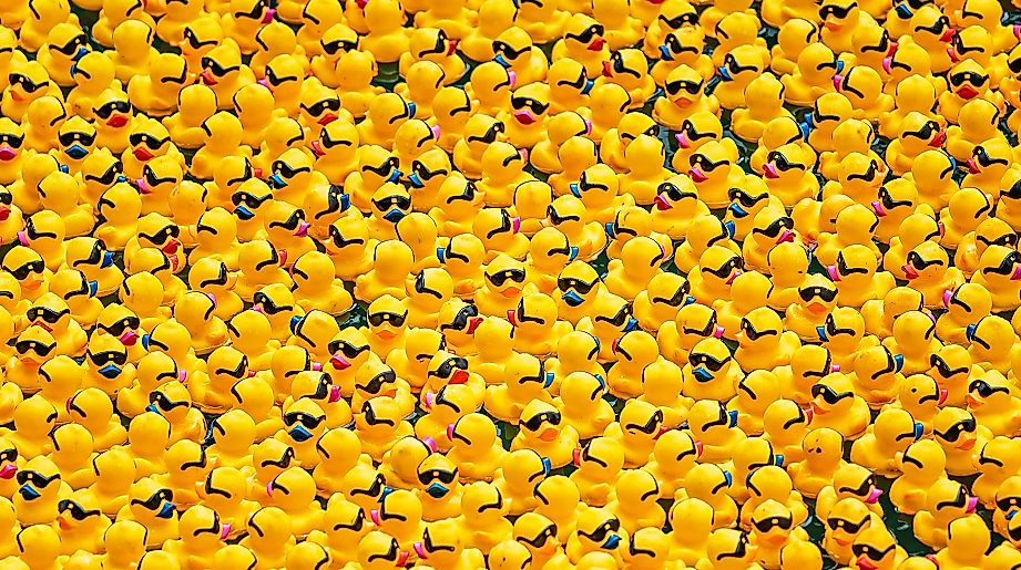 24. Stader Entenrennen
