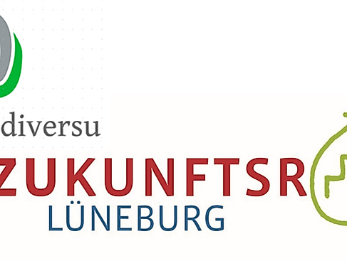 Zukunftsrat Lüneburg x diversu