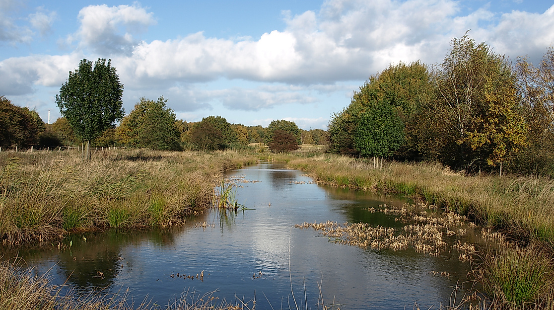 Boberger Dünen