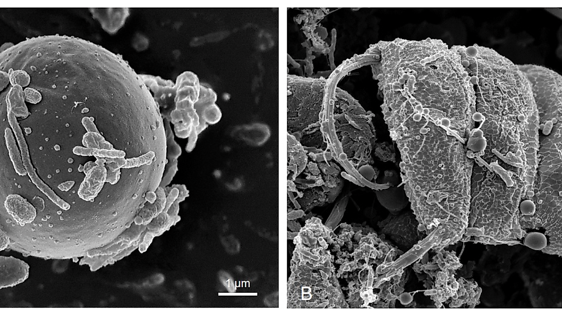 Bildschirmfoto 2026-01-14 um 14.12.59