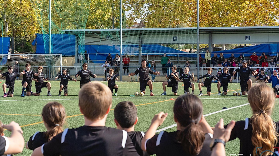 HRG HAKA 3