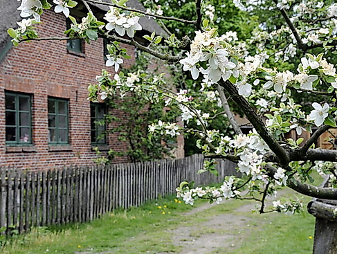 Wir radeln zum Museums-Bauerhof Wennerstorf