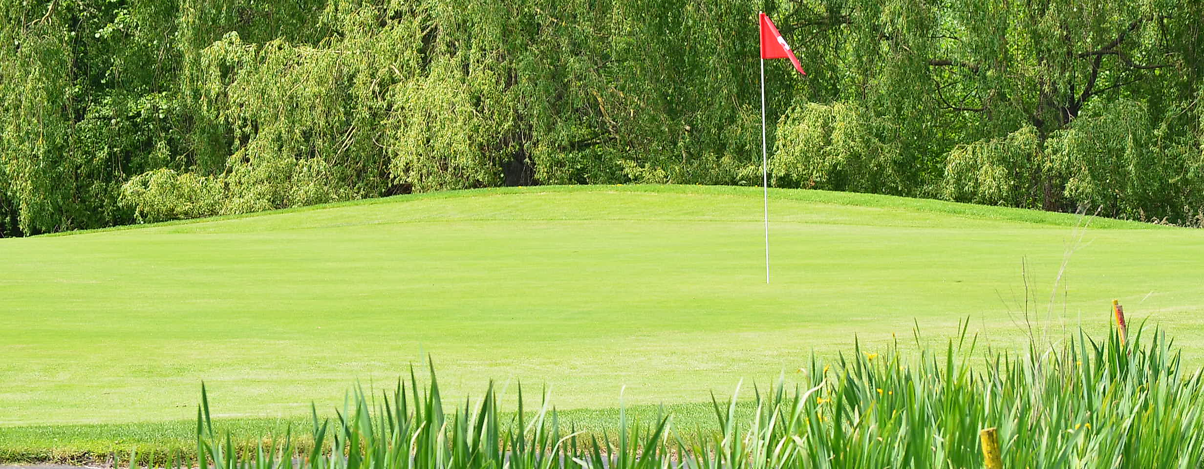 golf-park-peiner-hof_c-golf-park-peiner-hof-ev4