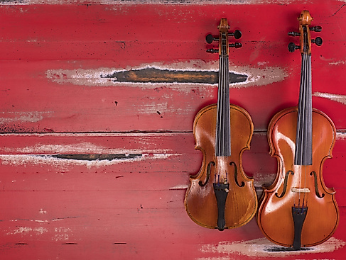 Young Talents & Saitenspiel-Orchester