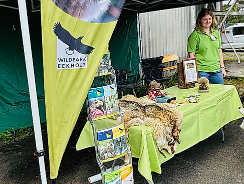 Stand Wildpark Eekholt
