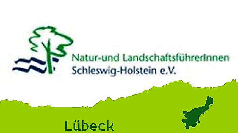 HL