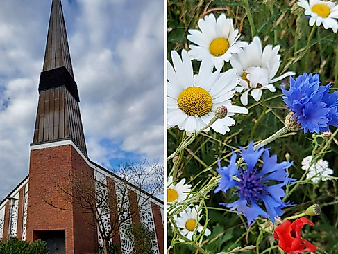 Außenansicht St. Johannes + Blumenwiese