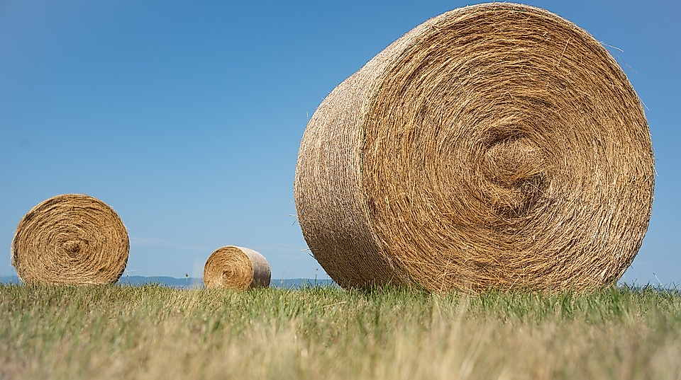 Spiel und Spaß in Sommerhusen