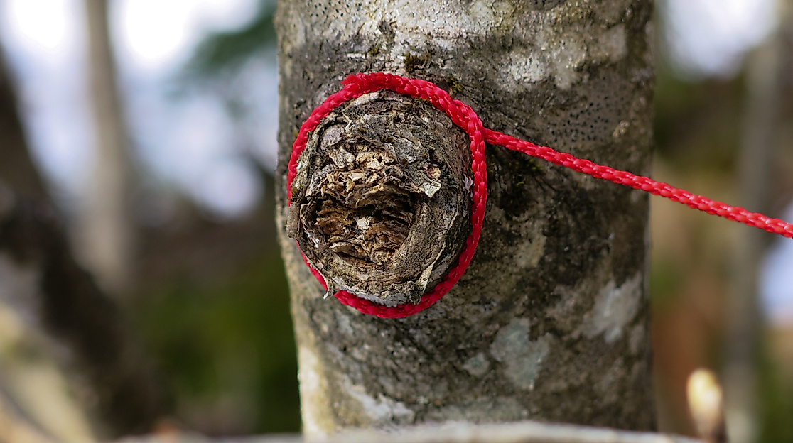 ars-eco-lab-Kunst-Natur-Retreat-Wendland