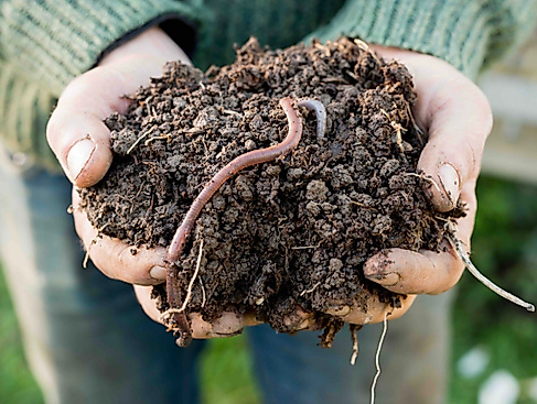 Unsere Böden verstehen – Einführung in den biodynamischen Anbau