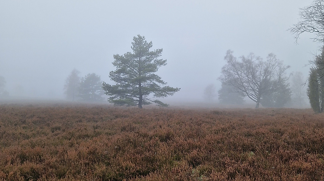 Herbststimmung