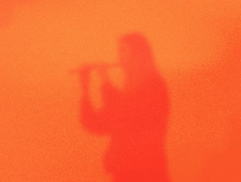 Schattenflötist im Orange