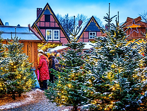 864489258432ERC___Selected