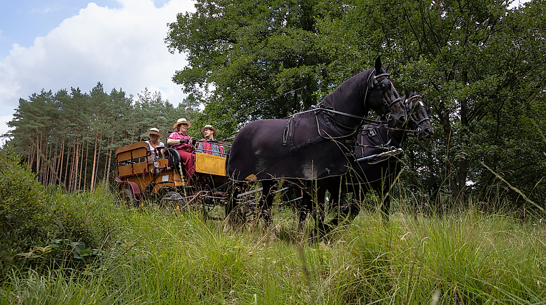 Fahrt durch Natur fernab von Autostraßen