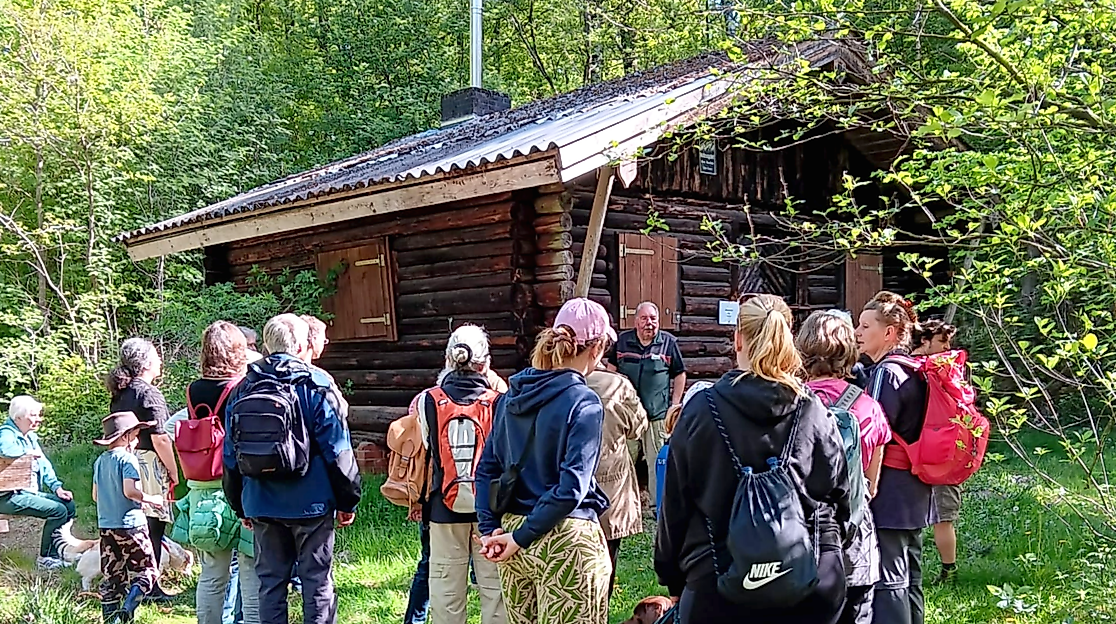 Waldwanderung im Ummel
