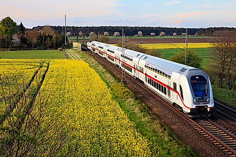 ICE fährt durch blühendes Rapsfeld 