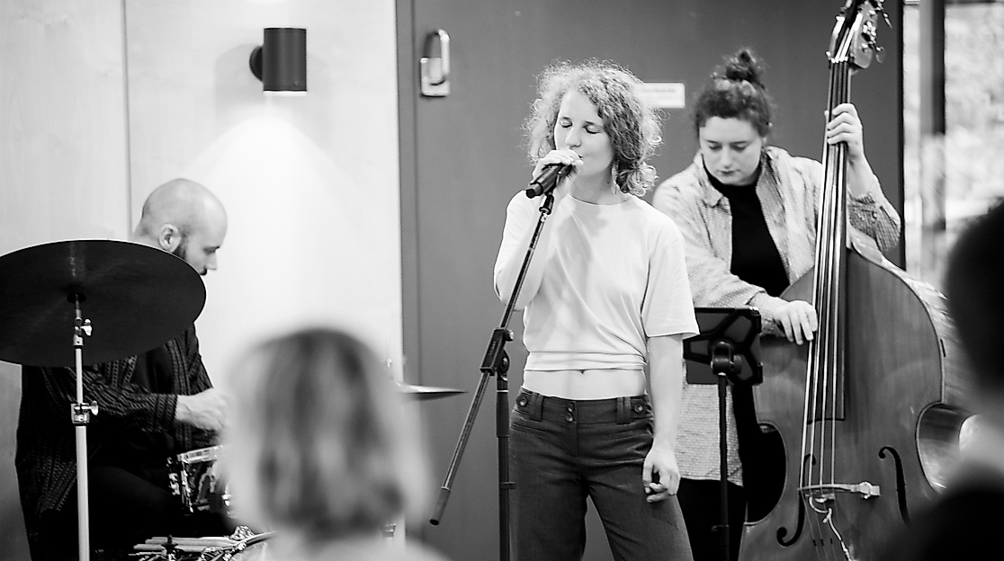 53976429317_2a0620aa23_k