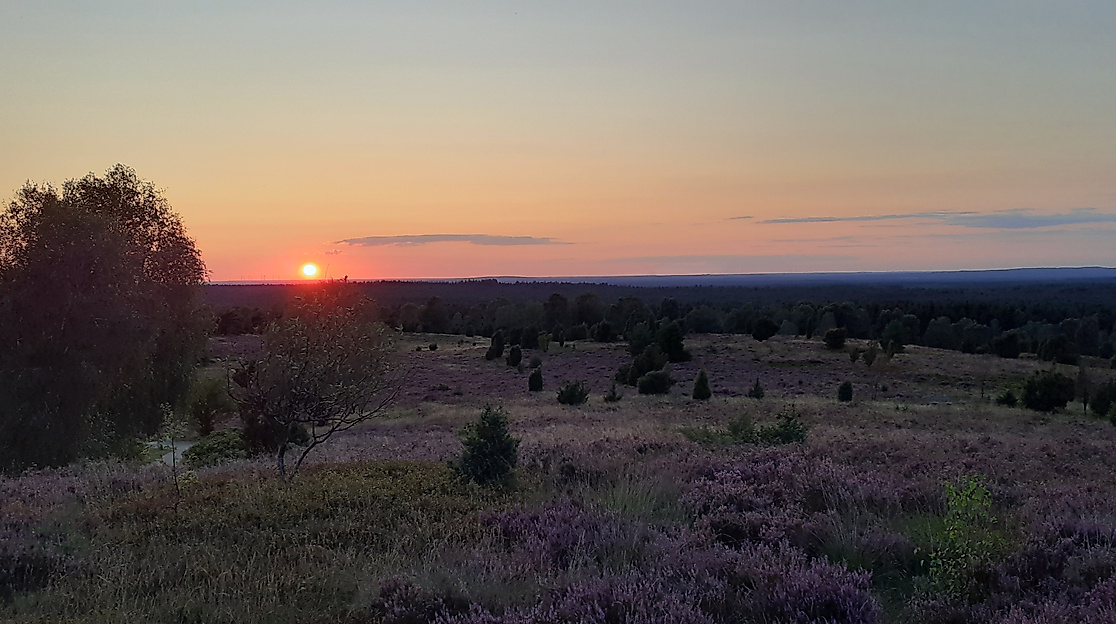 Sonnenuntergang Wilseder Berg