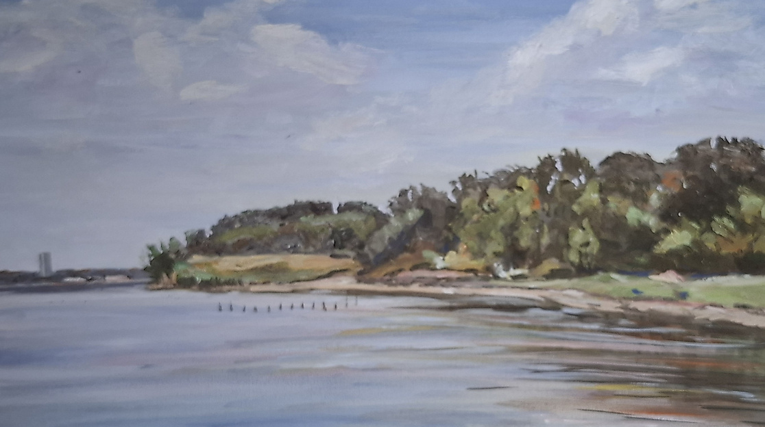 Das Naturschutzgebiet Am Holm bietet Vögeln einen Rast- und Brutplatz in Neustadt.