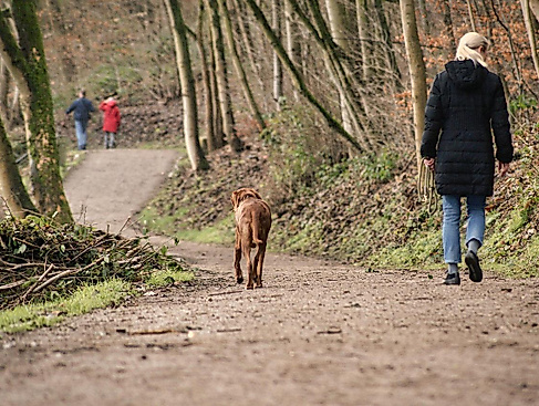 Bild von Sina W. auf Pixabay