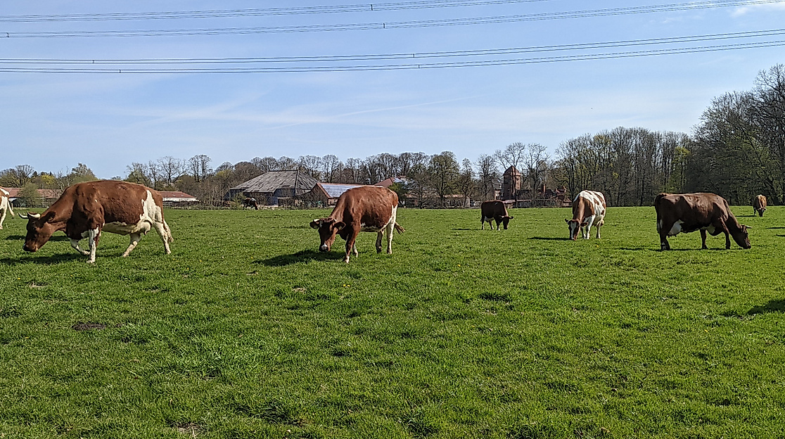 25-09-12 Führung Tierhaltung Hofgut Wulfsdorf