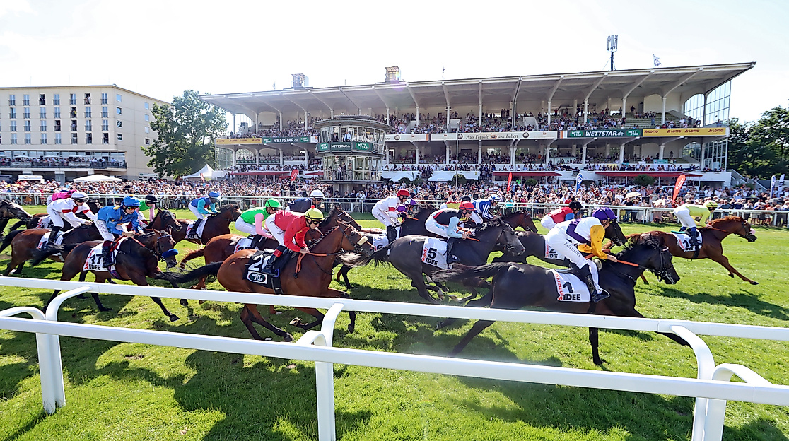 Galopp_Derby_Horner_Rennbahn (c) Galoppfoto (3)