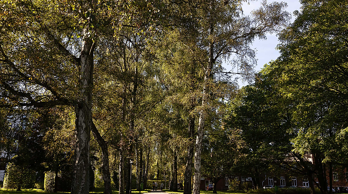 2529_07_location_02_2147