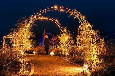 Christmas Garden