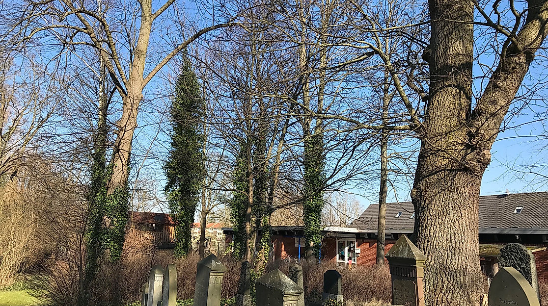 Führung: Die jüdische Gemeinde in Winsen (Luhe)