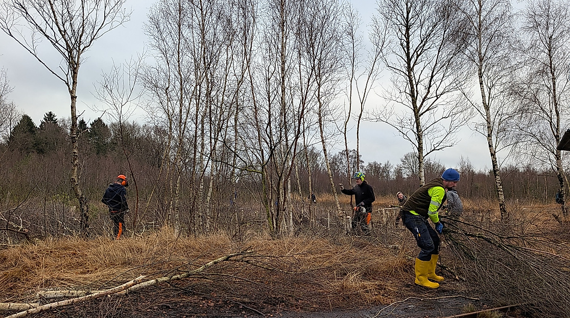 Typische arbeiten im Moor