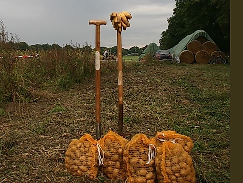 25-09-06 Kartoffelernte für Familien Hofgut Wulfsdorf