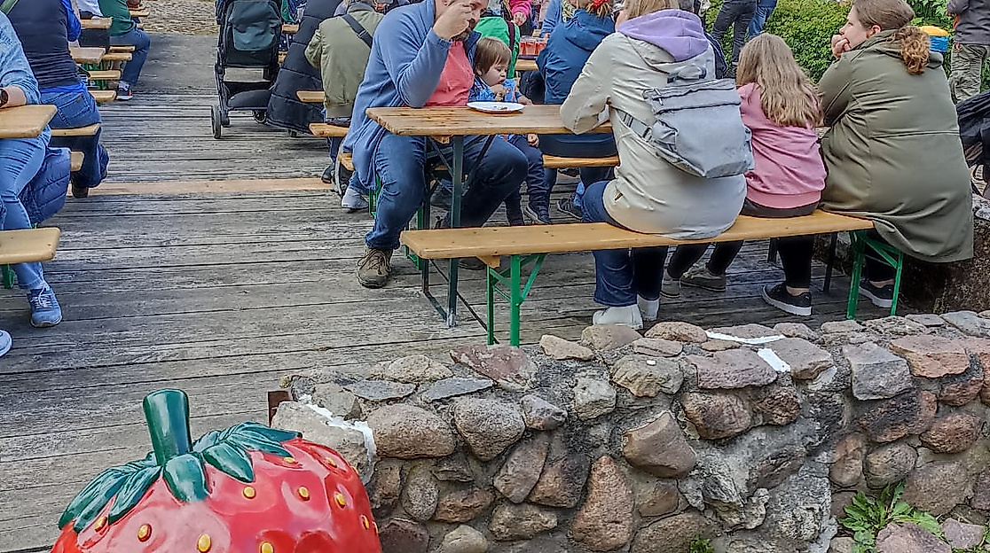 Vierländer Erdbeerfest