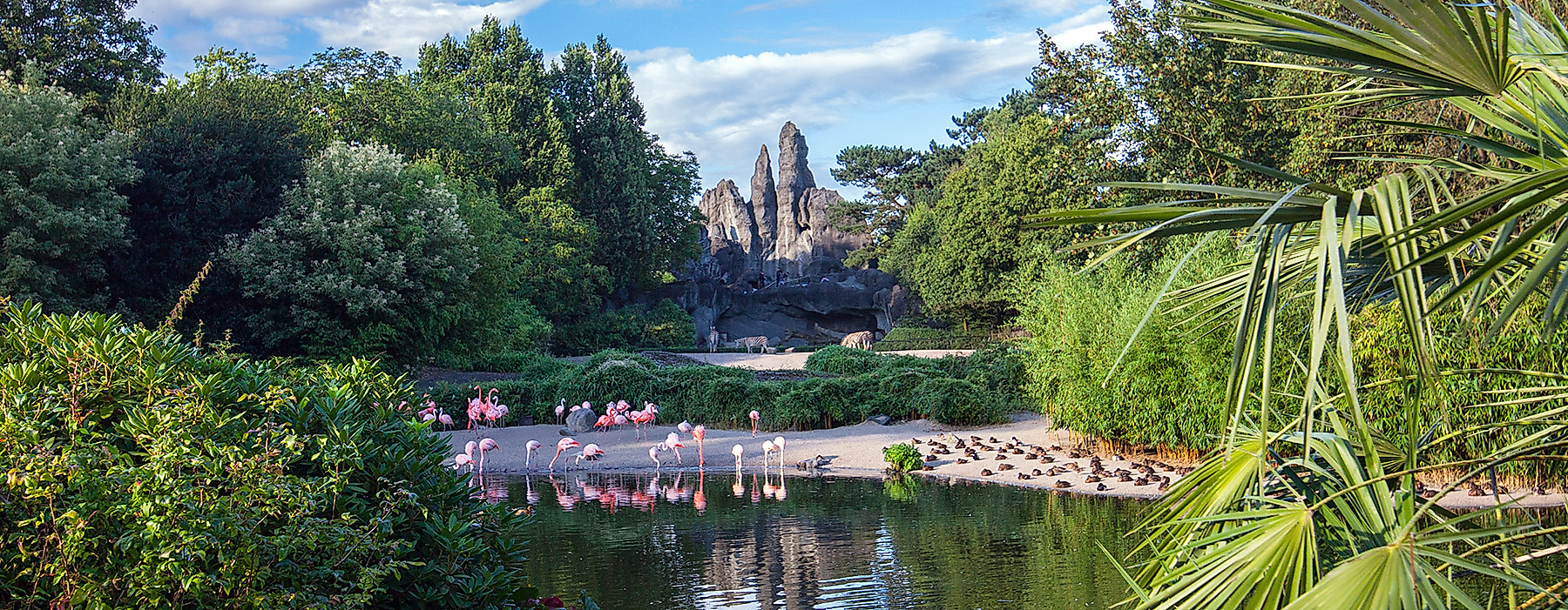Tierpark Hagenbeck Afrikapanorama