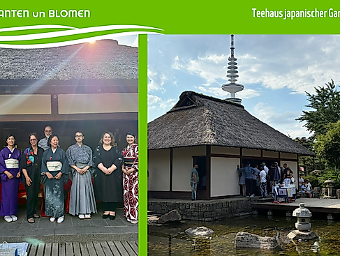 Vorlagen PuB Veranstaltungskalender (4)