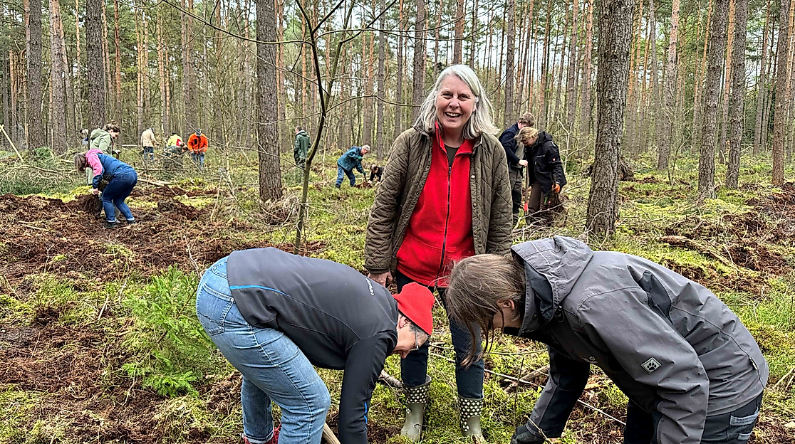 Uelzen pflanzt 2024