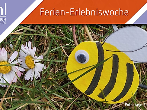 Ferienwoche im Museum Lüneburg
