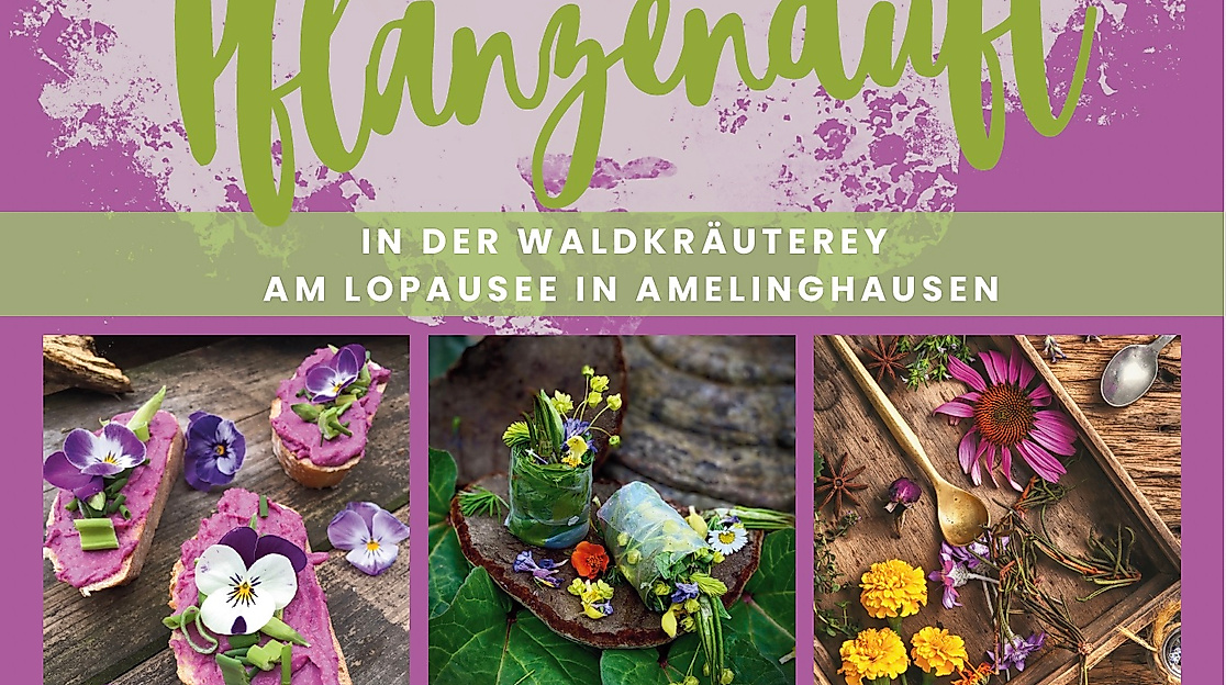 Kräuterlust & Pflanzenduft