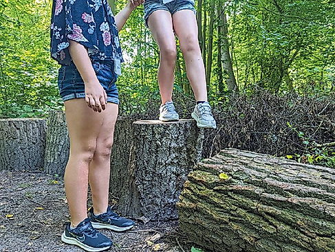 Kinder-Uni: Wunder des Waldes