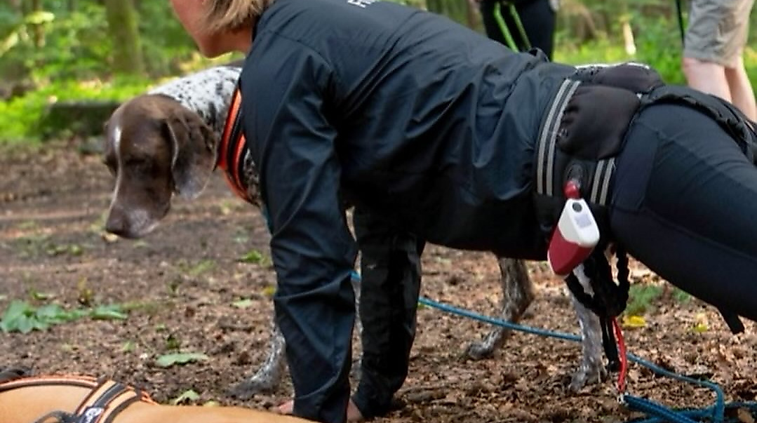 Fit mit Hund - Caniwalk - Fitness-Stopp