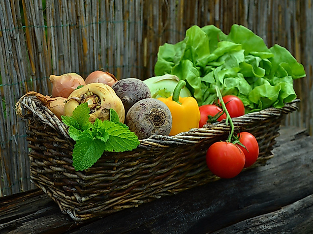 mitmachgartenbau_c_congerdesign_pixabay