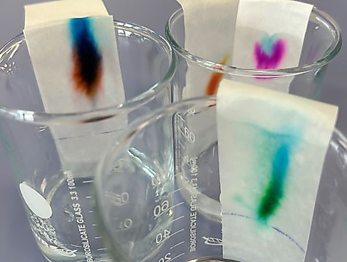 Chromatography600px (1)