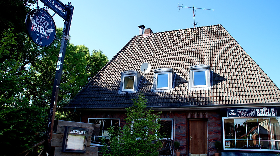 the-vegan-eagle_c-hannah-elser-9