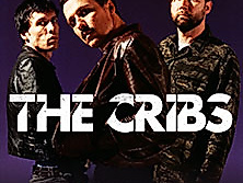 The Cribs