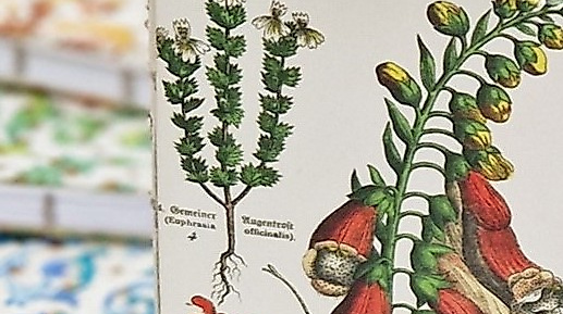 Mein Ferientagebuch